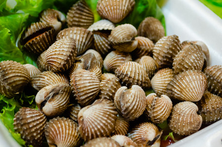 Ready-to-eat clam in shells - street food at a night market in Thailandの写真素材