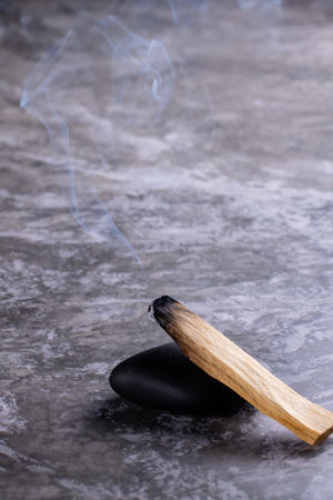 The Palo Santo tree is one of the most fragrant trees in the world. Palo Santo is used by shamans to heal from diseases, get good luck in business, protect against evil spirits, the evil eye, damage and improve the quality of their livesの写真素材