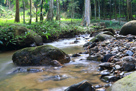 River flowing between rocks in the forest