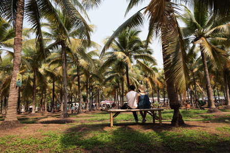 Tourists relax under a coconut tree at a coconut market in Chiang Mai, Thailand.の写真素材