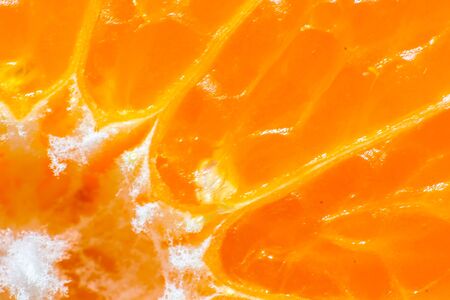 a slice of orange very close up - macro