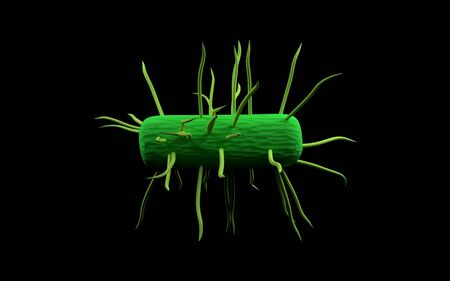 Illustration of green  bacteria cell with tentaclesの写真素材
