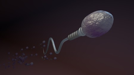 Human sperm cell set with leader spermatozoa