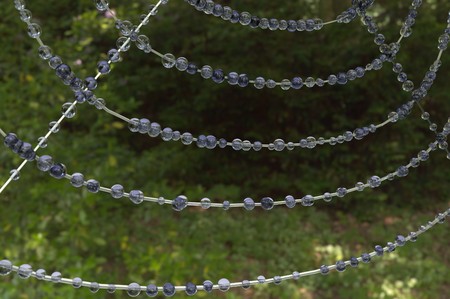 spiderweb with rain drop in green forestの写真素材