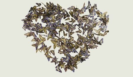 Heart butterfly flight yellow abd blue on whiteの写真素材