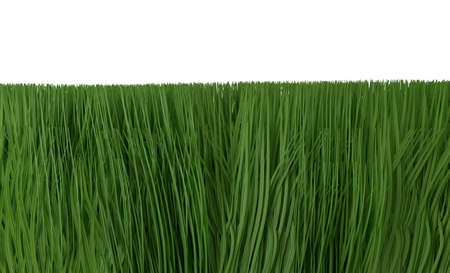 Green grass isolated on white background 3d renderの写真素材