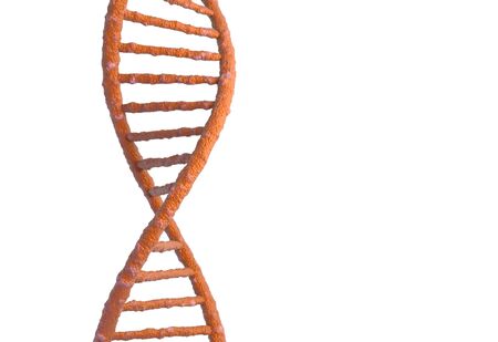 Genetic code DNA molecule structure. 3d renderの写真素材