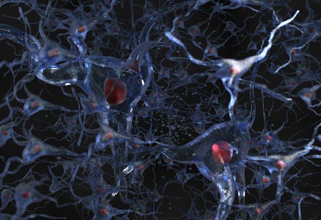 Illustration of human nerve cell net on a black 3d renderの写真素材