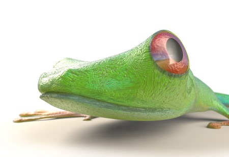 red eyed tree frog from tropical rainforest of Costa Rica isolated on white. Beautiful green and blue treefrog is an exotic animal from the rain forest. 3d renderの写真素材