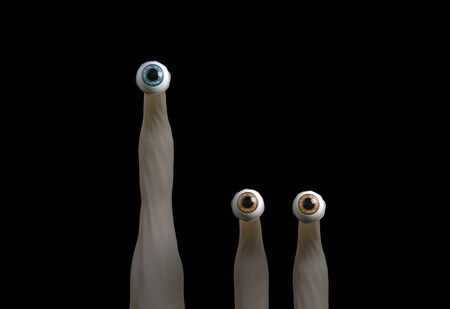 funny cartoon creatures eyes looking at you 3d renderの写真素材