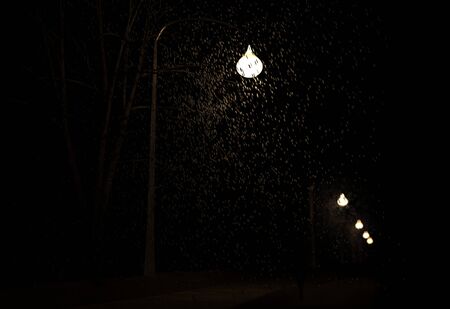 Snowfall in valley of lamp at night 3d illustrationの写真素材