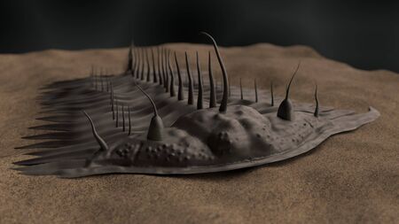 prehistoric trilobite 3d illustrationの写真素材