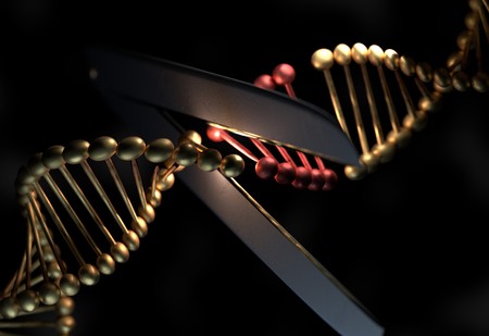 DNA cut the defective gene by a scissor 3d illustrationの写真素材