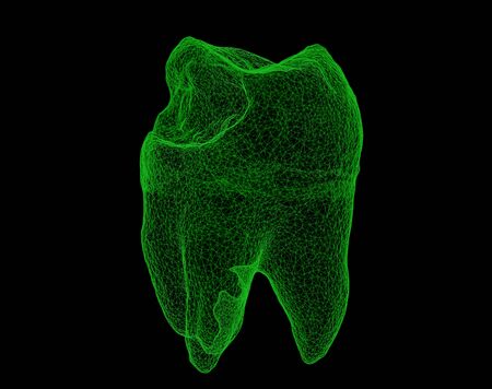 Dental wireframe tooth isolated on black 3D illustrationの写真素材