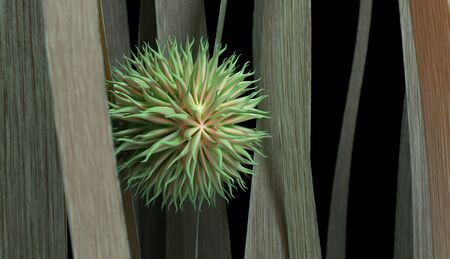 Virus cells with tentacles or bacteria. 3d render.の写真素材