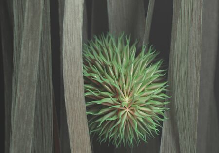 Virus cells with tentacles or bacteria. 3d render.の写真素材