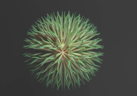 Virus cells with tentacle or bacteria. 3d Illustration.の写真素材