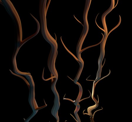 Set of tree branch silhouette, 3d illustrationの写真素材