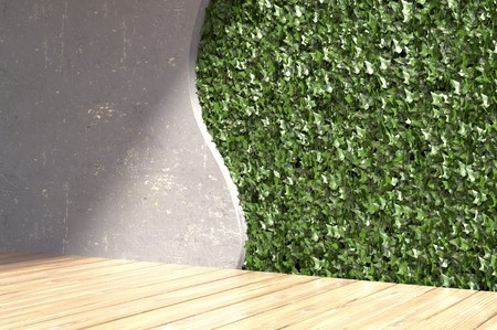 Concrete wall with green leafs in modern interior. 3D illustration.の写真素材