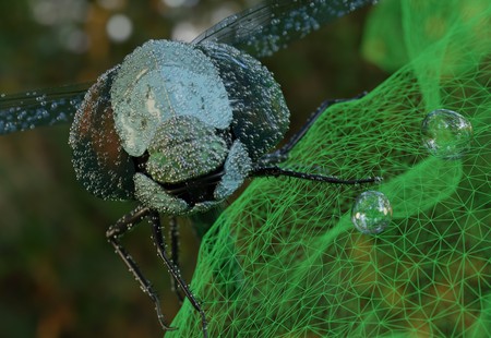 Surreal macro dragonfly with water drops on blades , morning rays of sun, wet on electronic wireframe stone. 3d illustrationの写真素材