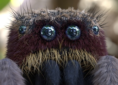 Salticus scenicus jumping spider macro 3d illustrationの写真素材