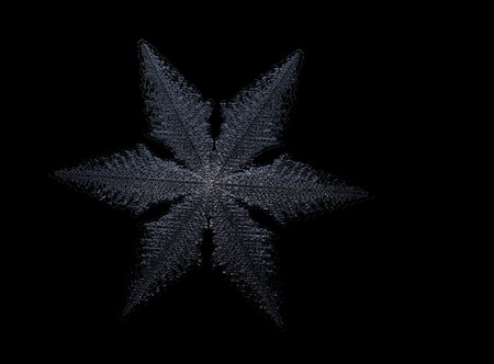 White snowflake on black background. This illustration based on macro photo of real snow crystal:...