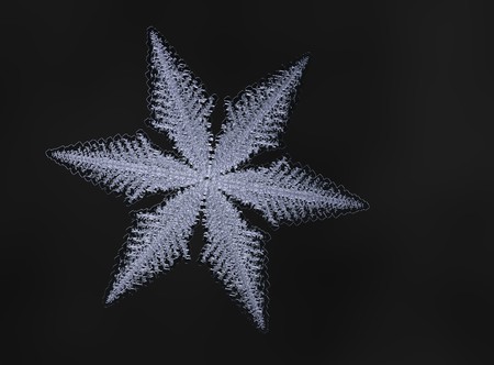 White snowflake on black background. This illustration based on macro photo of real snow crystal: large stellar dendrite with fine hexagonal symmetry, complex ornate shape and six elegant arms.の写真素材