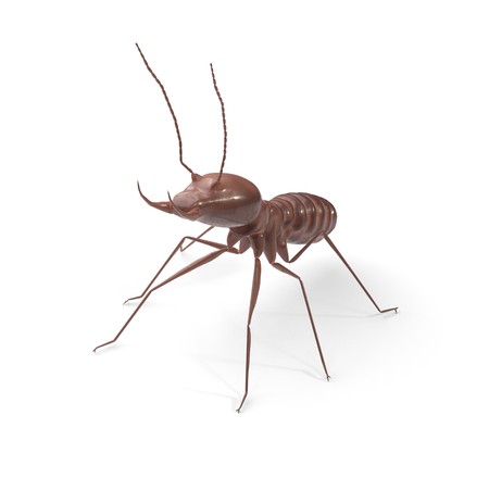 Termite on isolated whited background 3d illustrationの写真素材