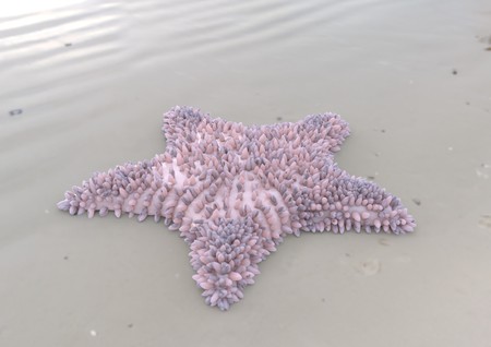 Violet starfish on sandy beach 3d illustrationの写真素材