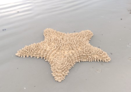 Peach starfish on sandy beach 3d illustrationの写真素材
