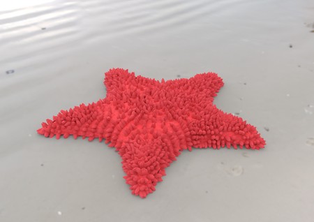 Red starfish on sandy beach 3d illustrationの写真素材