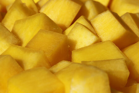 Pumpkin processing after harvestの写真素材