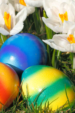 Easter eggs with flowers in a meadow