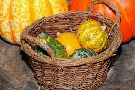 Autumn decoration, pumpkin, gourd in a basketの写真素材