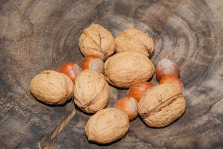 Freshly harvested walnuts and hazelnuts on a wooden board