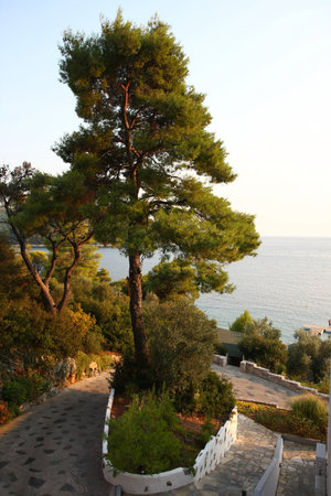 View from terrace,Adrina beach,Skopelos,Greeceの写真素材