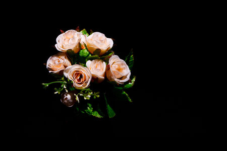 Picture of bouquet of white rosesの写真素材