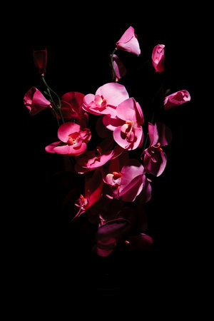 Picture of bouquet of flowers on dark backgroundの写真素材