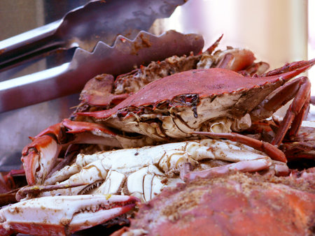 cooked blue crabs from the Chesapeake Bay of Marylandの写真素材
