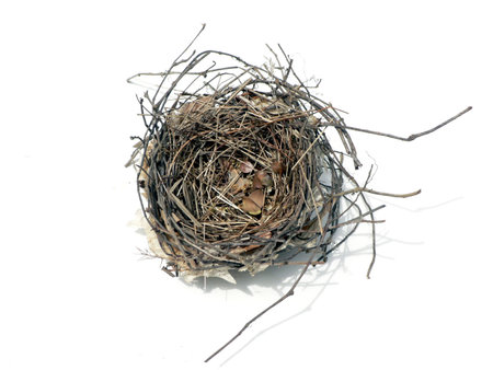 photo of a empty bird nest isolated over white backgroundの写真素材