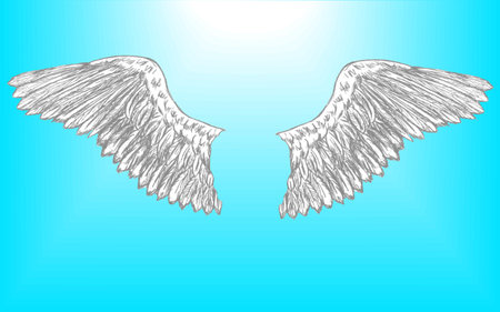vector illustration of a pair of eagle wings that is setup for editingのイラスト素材