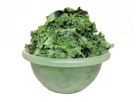 fresh kale stacked in a green plastic bowlの写真素材