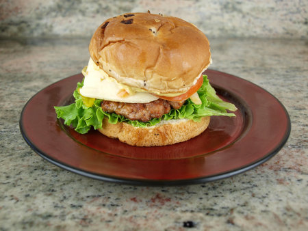 a burger sandwich with lettuce, tomato, onion, cheeese, and mustard on a plate ready to be eatenの写真素材