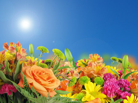 a background image of flowers consisting of irises, roses, petunias, and daiseys under a sunny bluesky.の写真素材