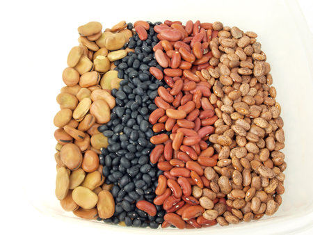 a assortment of dried fava beans, kidney beans, black beans and pinto beans in a containerの写真素材