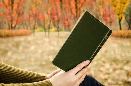 autumn and reading bookの写真素材