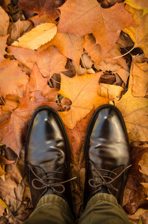 autumn flutterの写真素材
