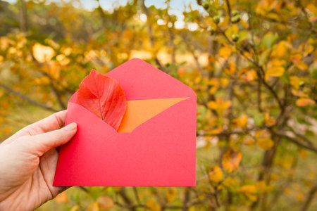 A mail with autumn newsの写真素材