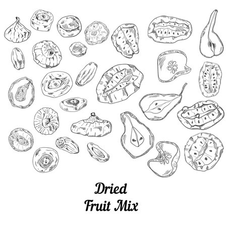 Set of dried fruit black and white sketchのイラスト素材