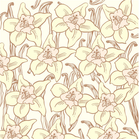 Vanilla flower pattern hand draw illustration vectorの写真素材